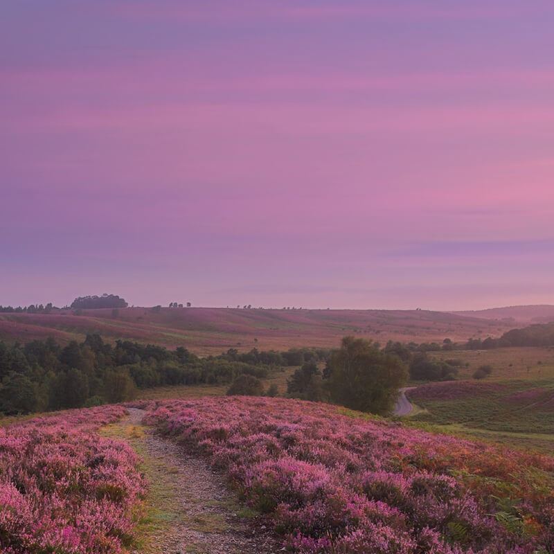Guernsey to Southampton flights